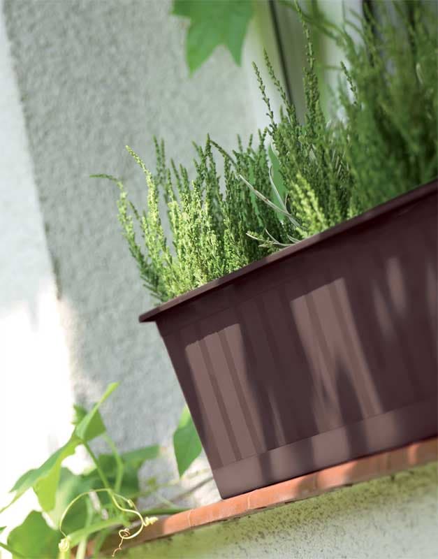 Balkonska žardinjera 50cm Prosperplast IS500-R222