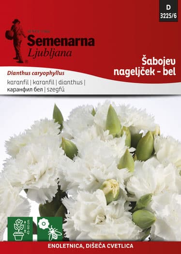 Seme za Karanfil šabo - beli - Dianthus caryophyllus 3225/6