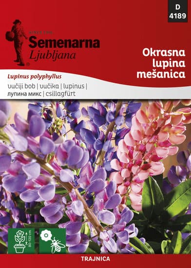 Cveće Vučika - mešavina - seme Lupinus Polyphyllus 4189