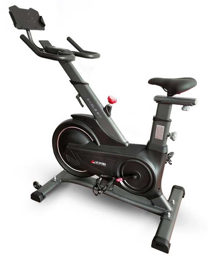 Sobni bicikl Xplorer Eagle 811 Black