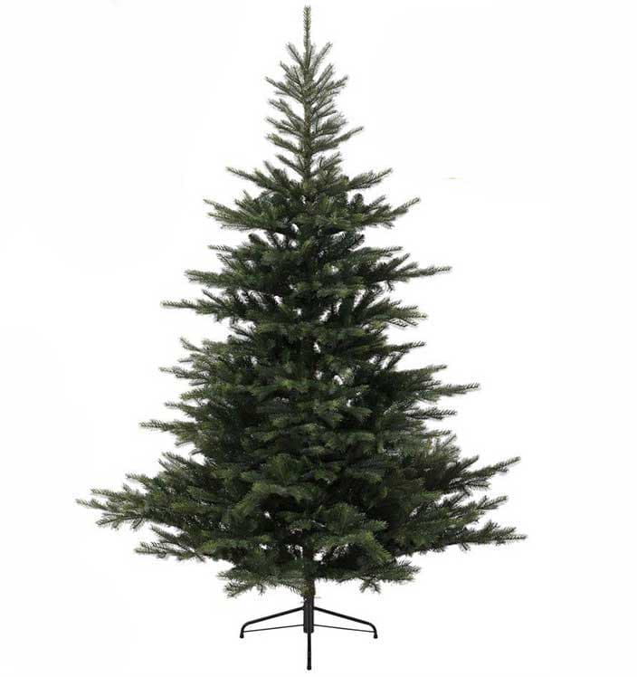 Novogodišnja jelka Everlands Grandis fir 240cm