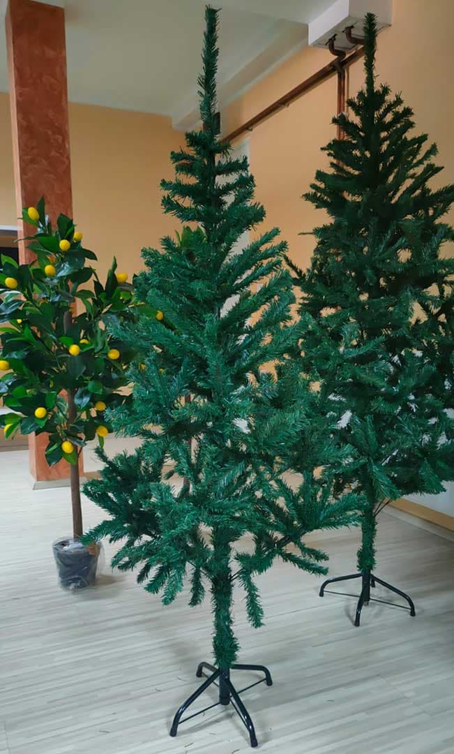Jelka Novogodišnja  150 cm Abies Alba Sa Metalnim Postoljem