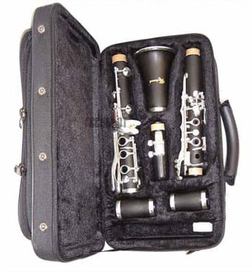 Klarinet Roy Benson CB-217 Student series