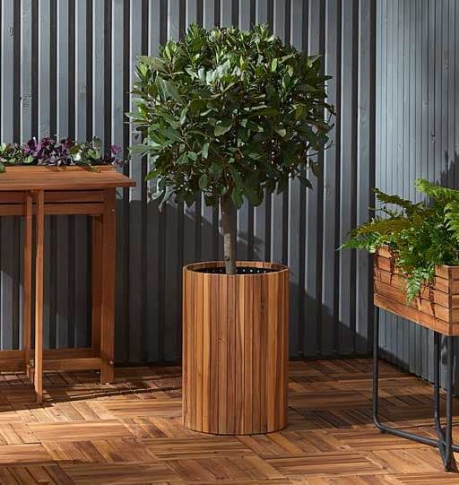 Visoka saksija za cveće od drveta bagrema V50cm