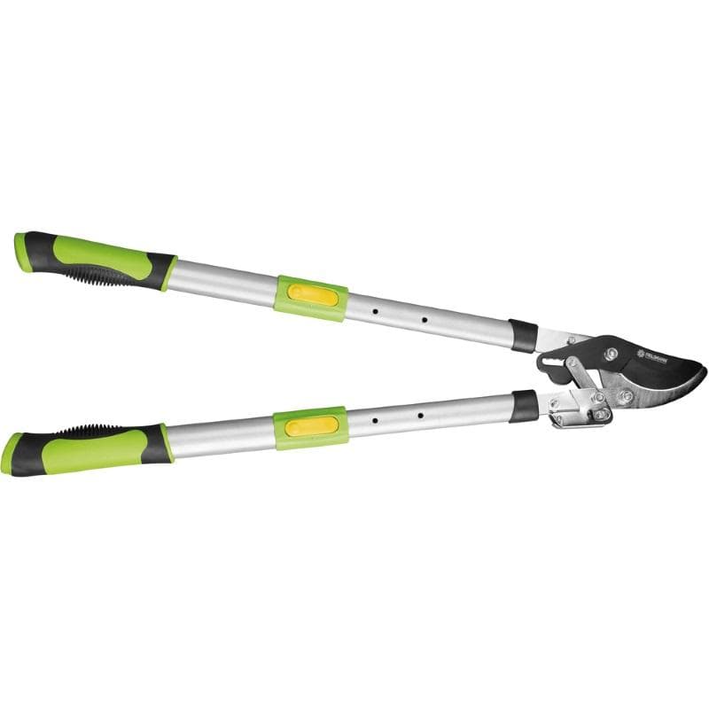 Fieldmann FZNR 1022 teleskopske makaze za grane