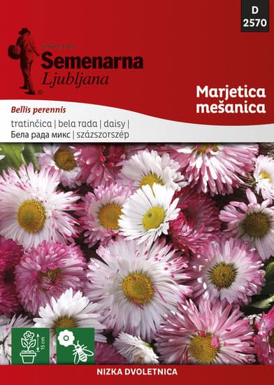 Seme za cveće 10 kesica Bela Rada - mešavina - Bellis perennis 2570