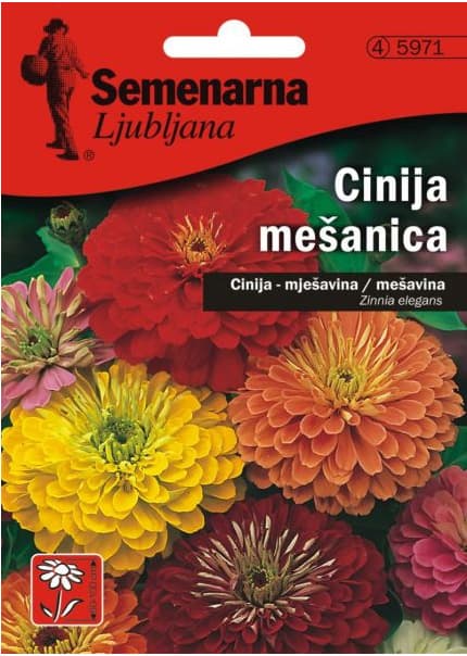 Baštensko cveće Lepi čovek - mešavina - Zinnia elegans 5 kesica 5971
