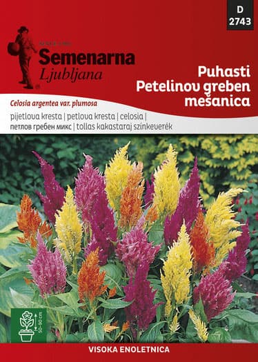 Cveće Petlova kresta paperjasta - mešavina - seme 5 kesica Celosia argentea var. plumosa 2743