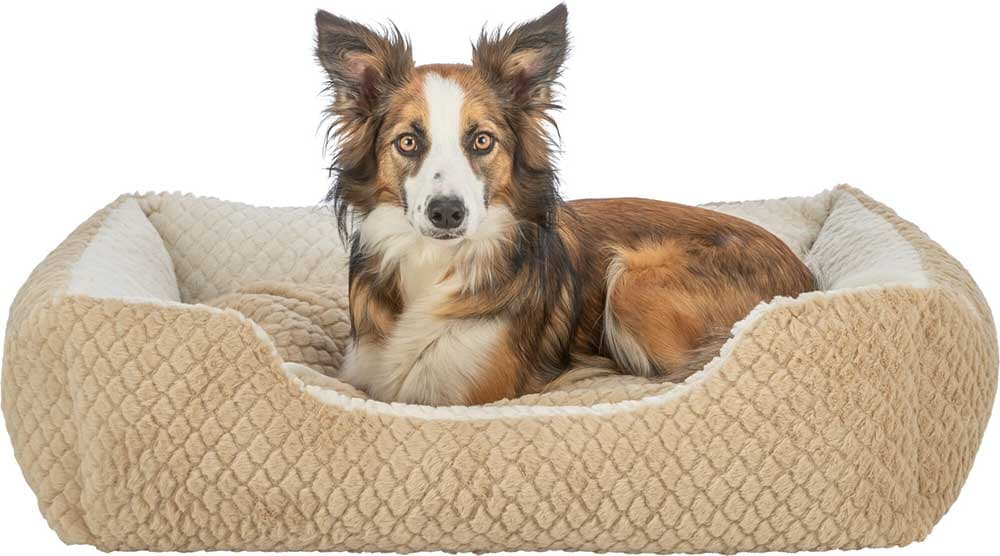 Krevet za male pse Kaline Mio brown 65x50cm Trixie 389716