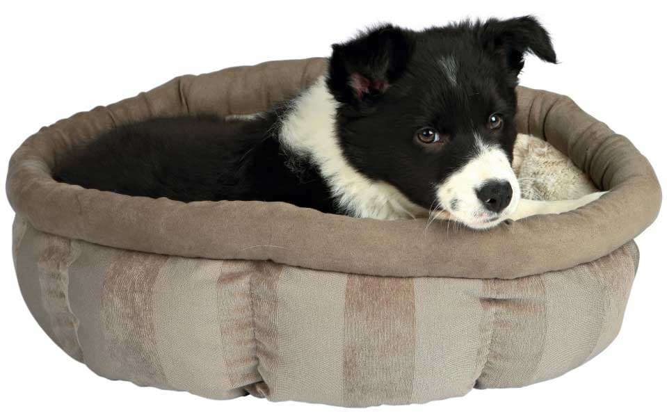 Trixie Krevet - ležaljka za male pse Leona 45cm 37409