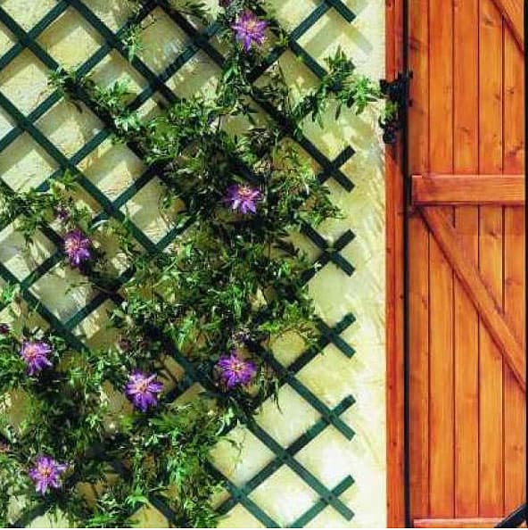 Merdevine Za Puzavice 1 x 3 m - Zelene