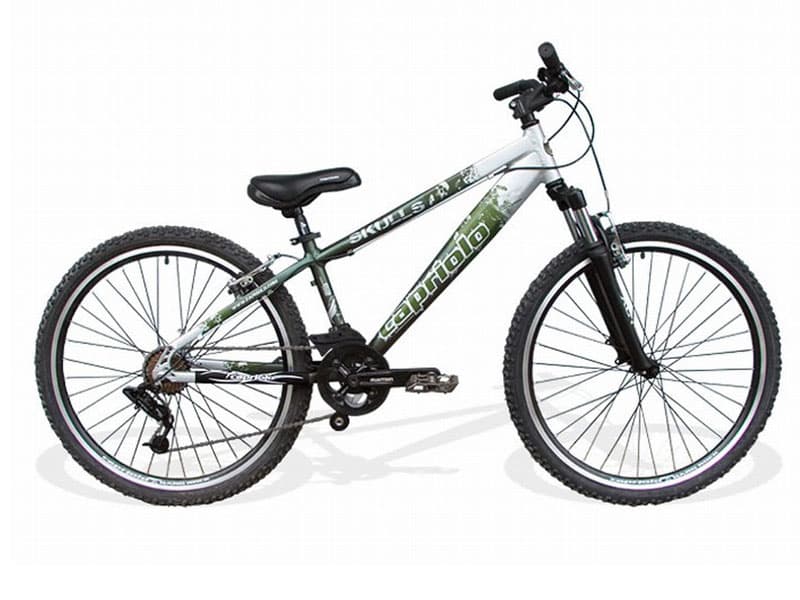 MTB SKULLS srebrno-zelena