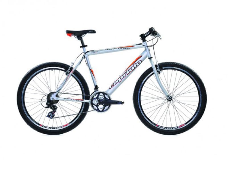 MTB MONITOR MAN srebrna