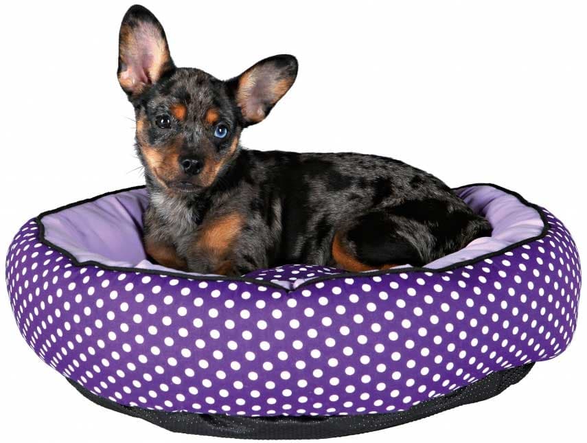 Krevet za pse malih rasa Trixie Lilo 37405
