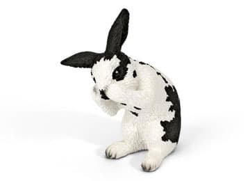Schleich Domaće životinje - Kunić, doteruje se 13698