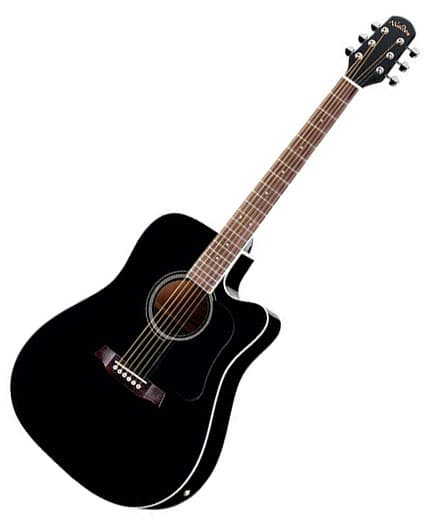 Walden D350CEB akustična gitara sa torbom