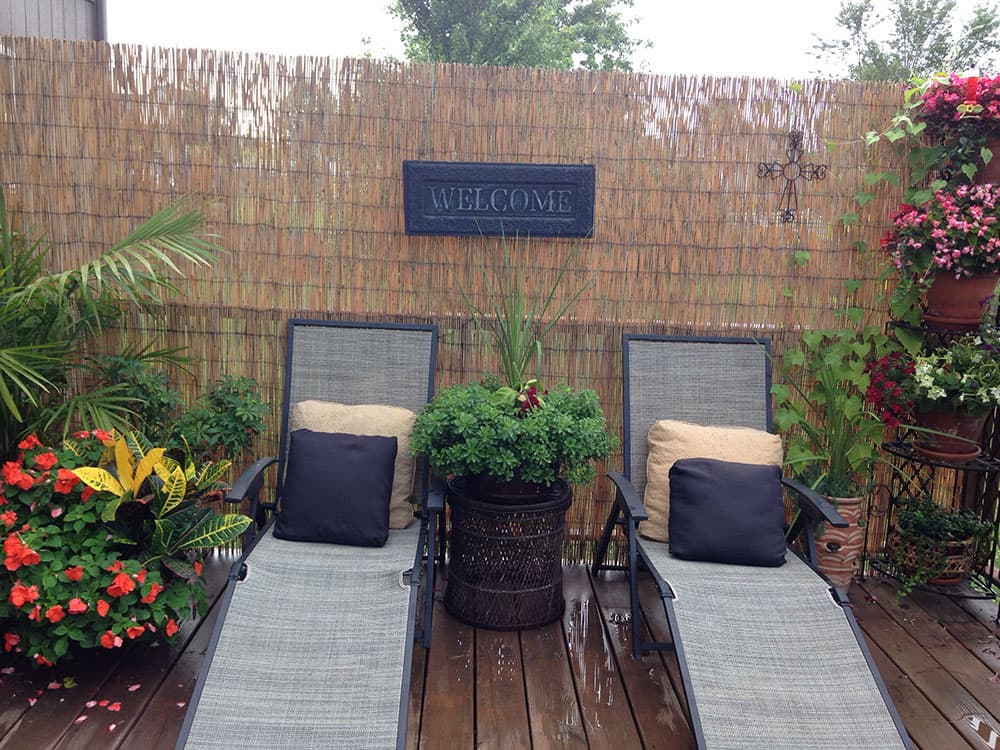 Ograda Od Trske 3 x 1.5 m   95-305