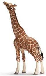 Schleich Divlje Životinje - Žirafa, mužjak 14389