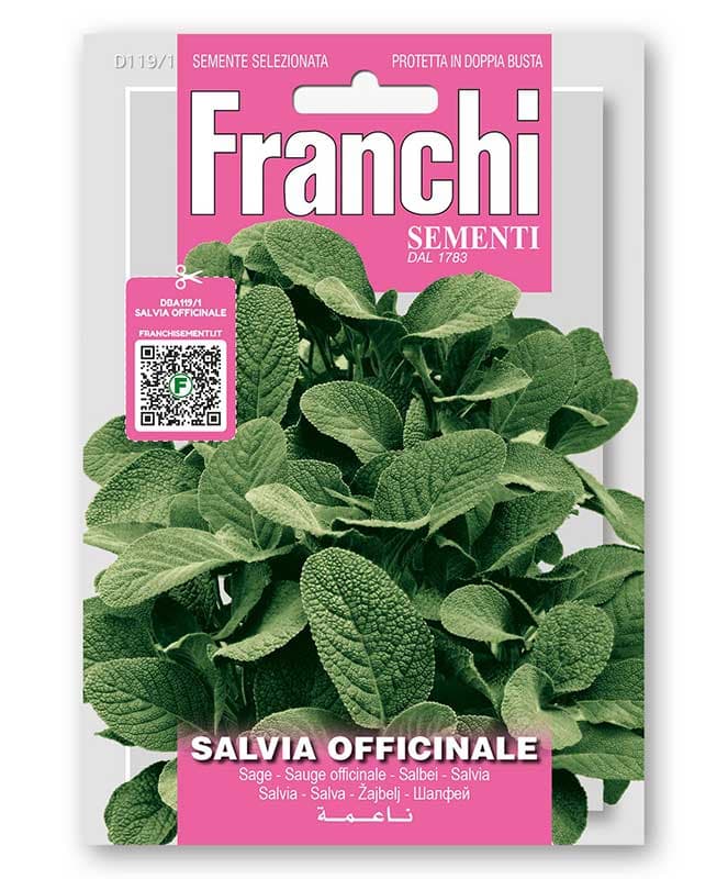 Žalfija seme 5 kesica Franchi Sementi Virimax