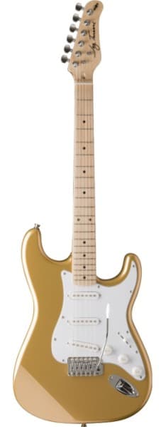 Jay Turser AMS JT 300 SHG električna gitara