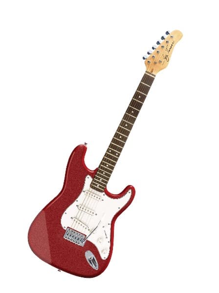 Jay Turser AMS JT 300M MRD električna gitara