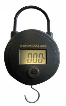 Vaga digitalna 25kg BE61125