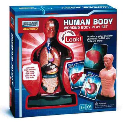 Set anatomija čoveka - manji, Mehano E218