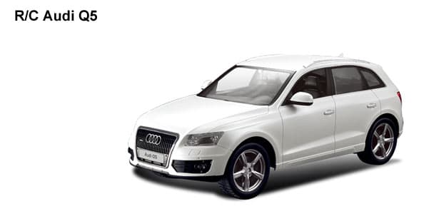 Rastar RC Automobil Audi Q5 1:24 6210133
