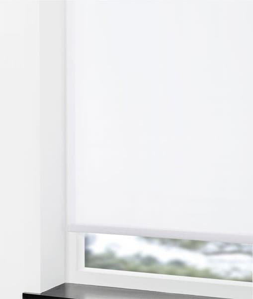 Roletna Hit 60x160cm bela