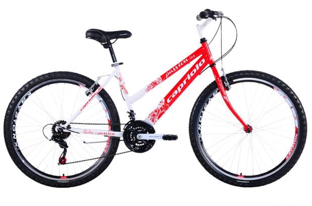 Mountain Bike MTB PASSION L 26/18HT 912380-19