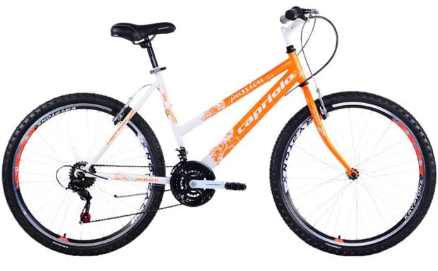 Mountain Bike MTB PASSION L 26/18HT 912382-17