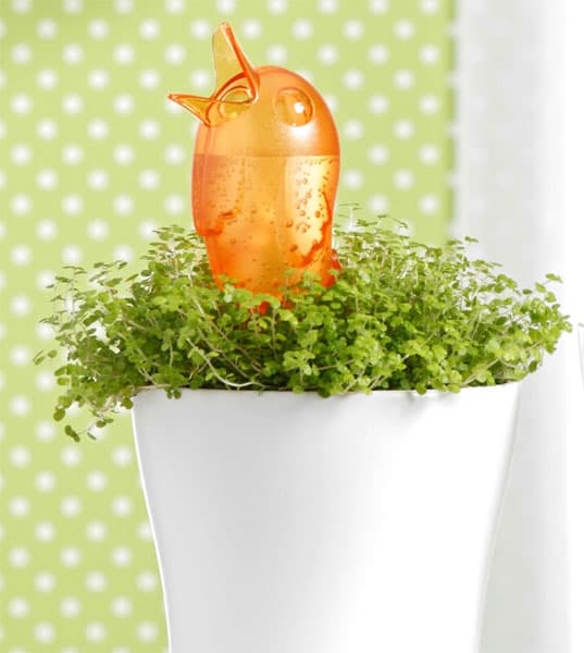 Scheurich dozer vode za cveće narandžasti SH 51045