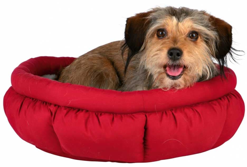 Trixie Krevet - ležaljka za male pse Leona 45cm 37407