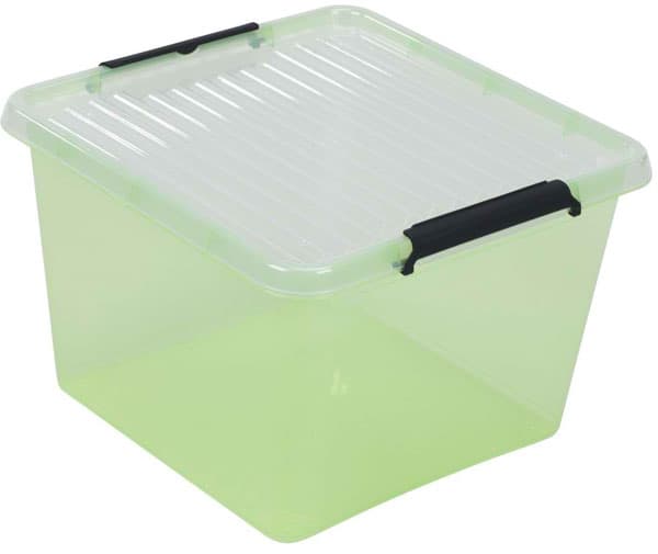 Kutija za odlaganje stvari Pack&Go 39x57x35cm 60L limeta