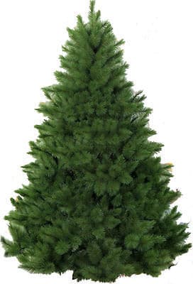 Novogodišnja Jelka sa 400 Grančica - 120 cm