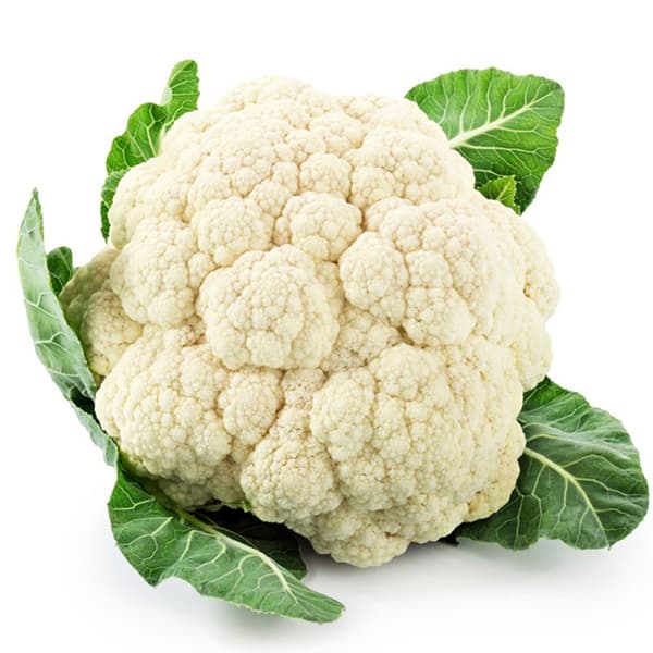 Povrće - seme - Karfiol snežna grudva 5 kesica Villager 023339