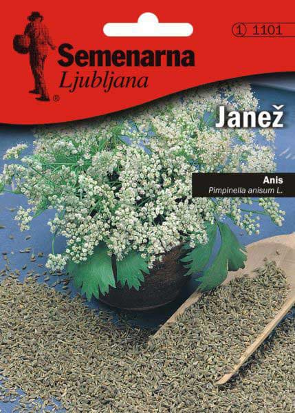 Seme za začin 5 kesica - Anis - Pimpinella anisum Semenarna 1101