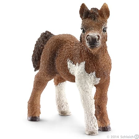 Schleich Domaće životinje - Šetlandski poni, ždrebe 13752