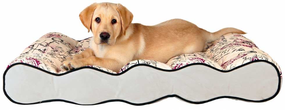 Ležaljka za psa Trixie Carta 37766