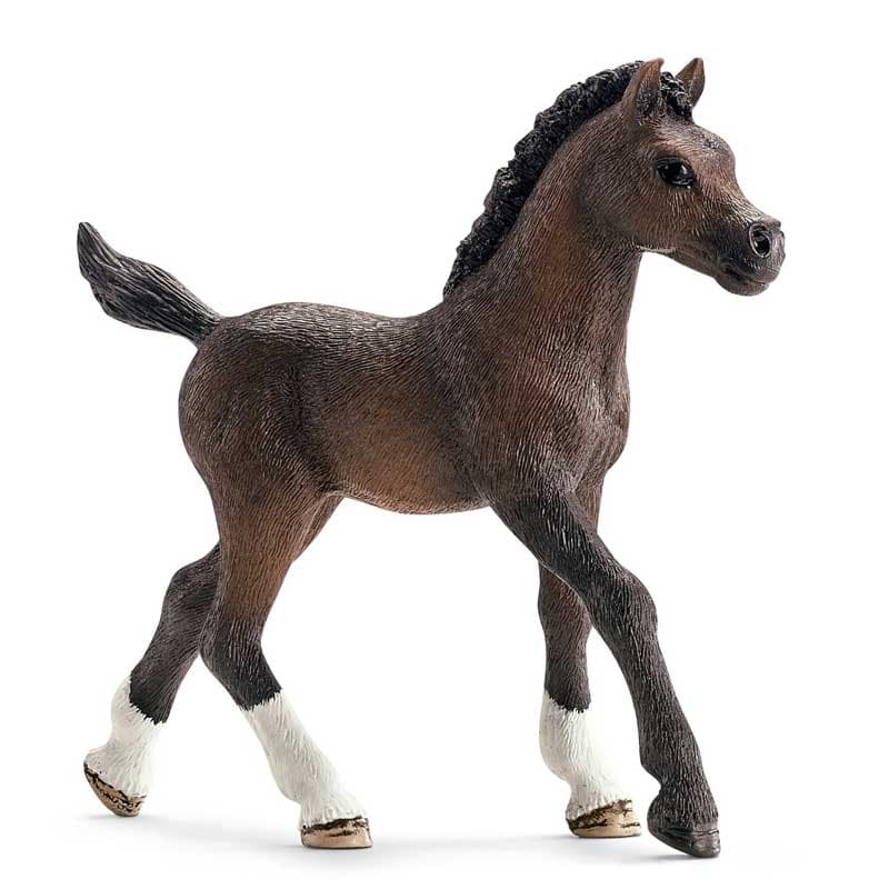 Schleich Domaće životinje - Arapsko ždrebe 13762