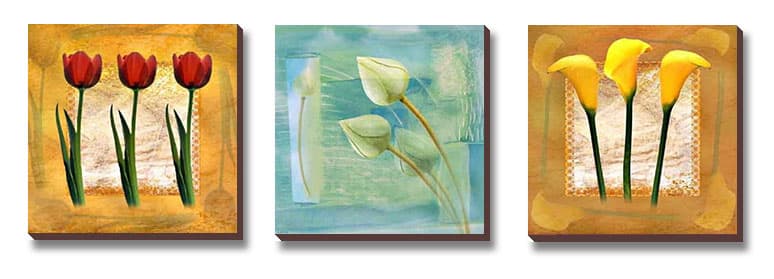 Floral Mini Set - 16x16 DA x 3