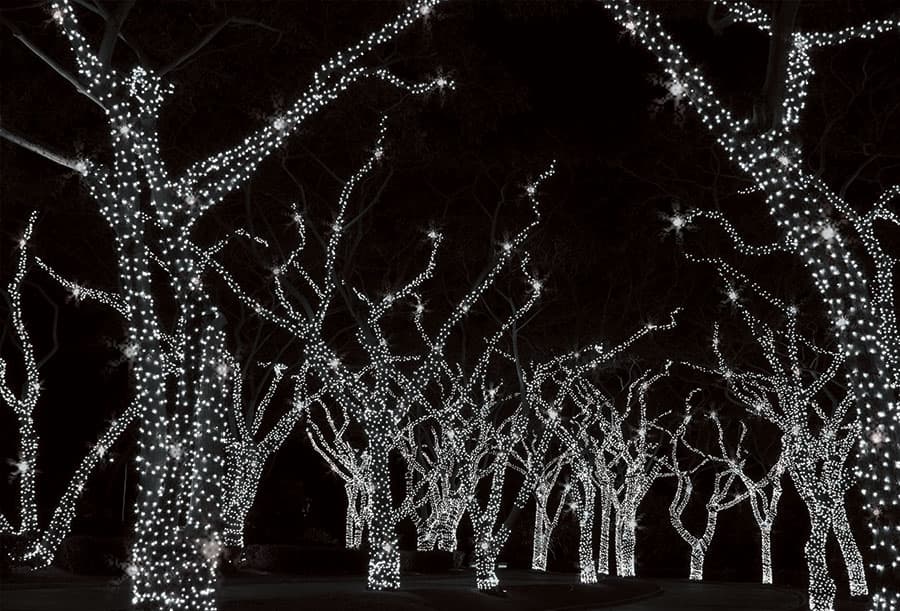 Novogodišnje Lampice LED Za Spoljnu ili Unutrašnju Upotrebu 5 plus 5  m KDK 202