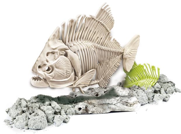 Clementoni skelet pirane iz praistorije 