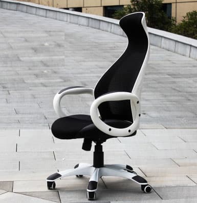 Radna Anatomska Stolica Executive 19