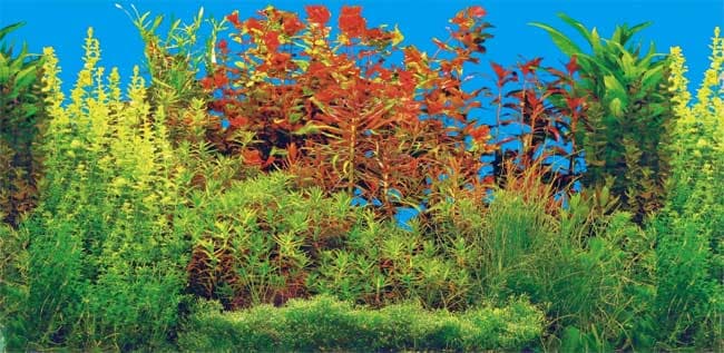 Pozadina za akvarijum 80x40 Trixie 8126