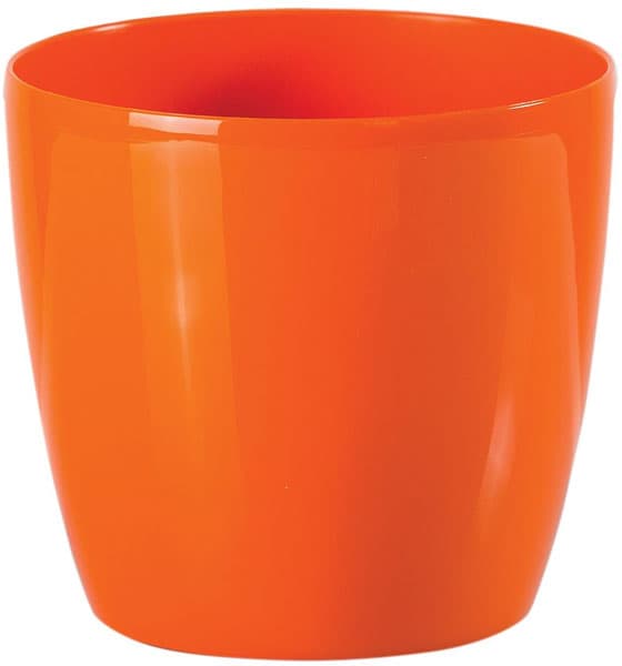 Saksija Stars 25 narandžasta