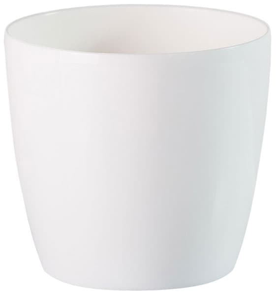 Saksija Stars 25 bela