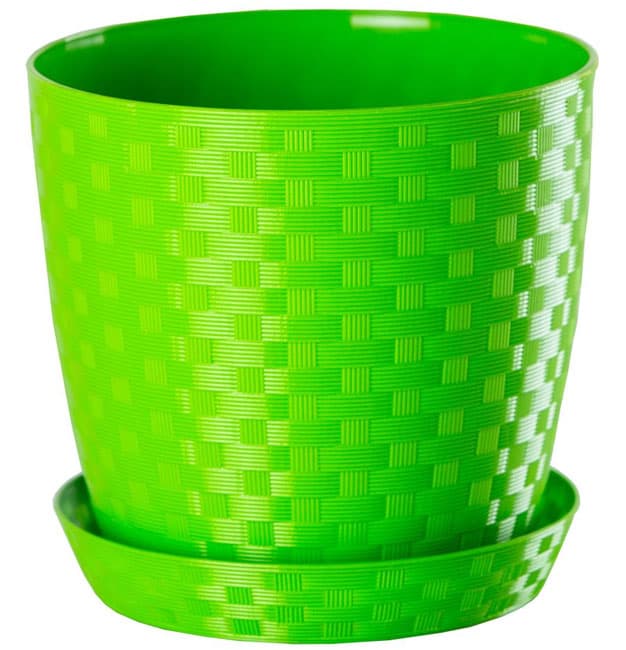 Saksija Stars ratan 25 zelena