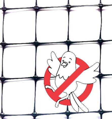 Zaštita od golubova Mreža protiv ptica T2 2x10m