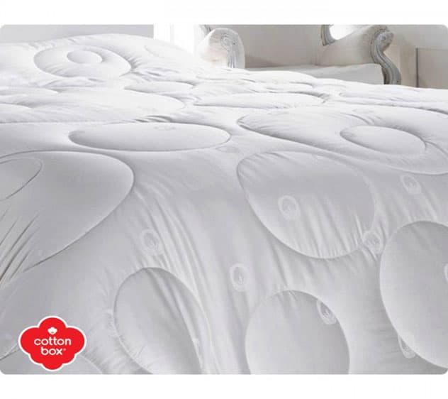 Singl pamučni jorgan Cotton Box 60908